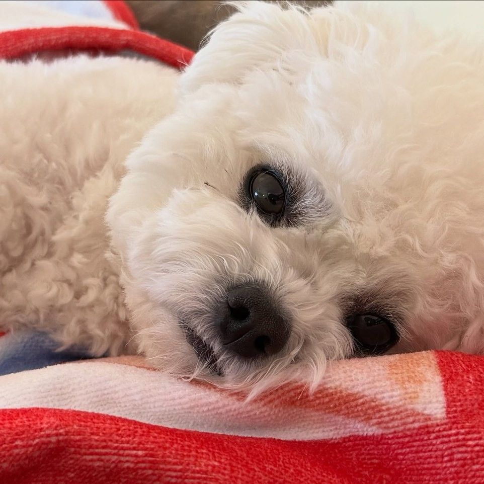 Recent activity shot of Eunwoo (ASTRO)