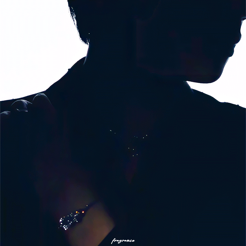 A moment captured by Jin (BTS)'s fan