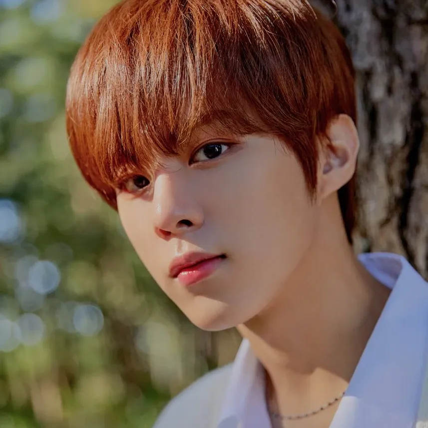 김우석의 비하인드 컷