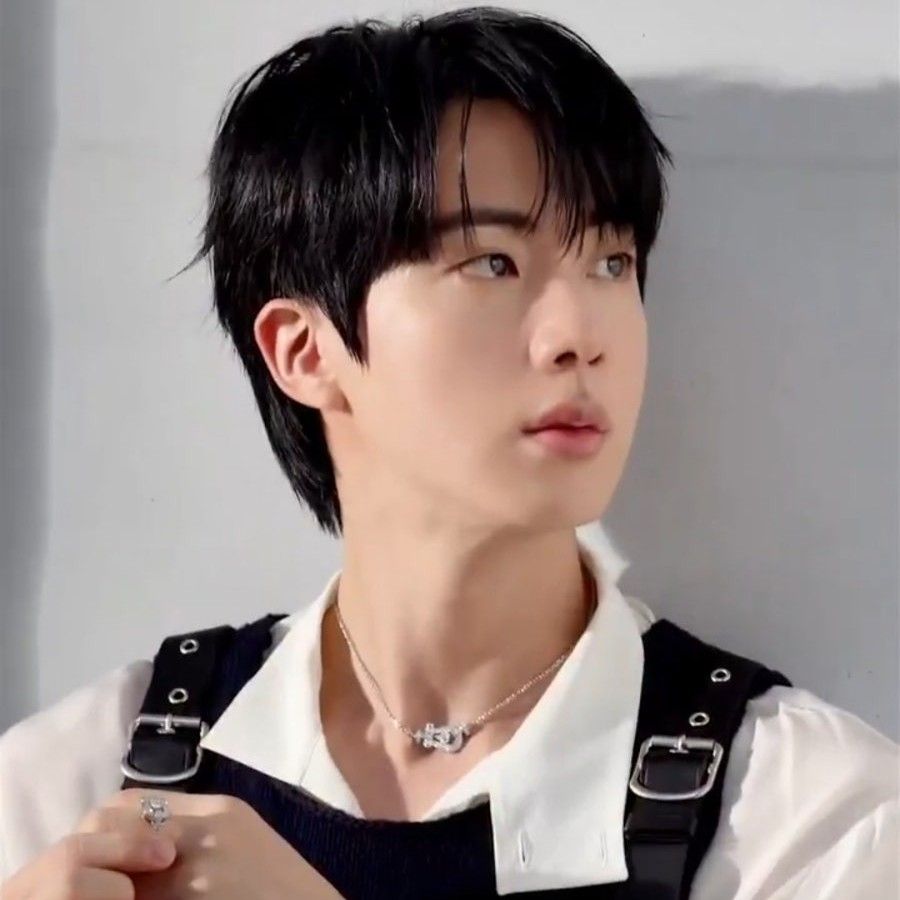 진 (방탄소년단) 팬이 찍은 순간