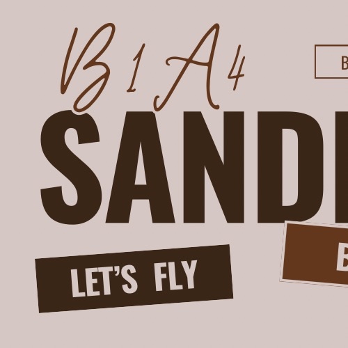 Potret di balik layar Sandeul (B1A4)