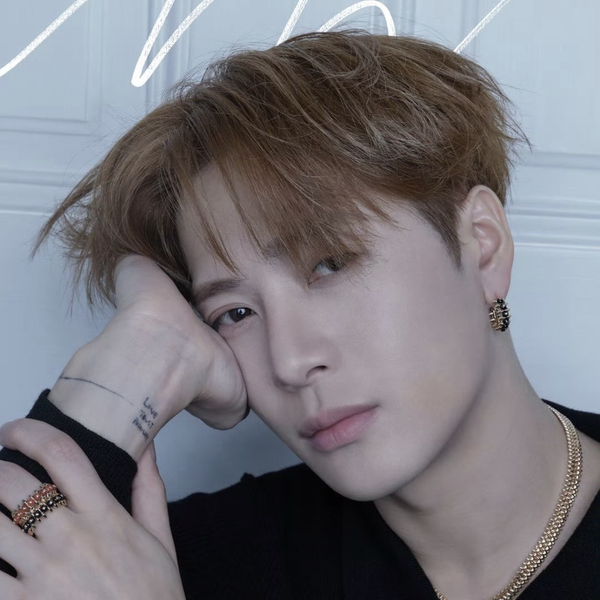 通過投票選出的王嘉爾 (GOT7)人氣頭像