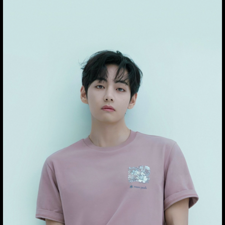 V (BTS)ファンが撮った瞬間