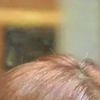 金佳蓝的最新活动照片