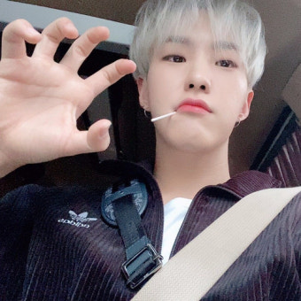 세븐틴 팬이 찍은 순간