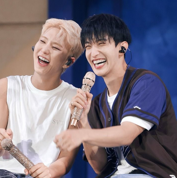 A moment captured by DK (SEVENTEEN)'s fan