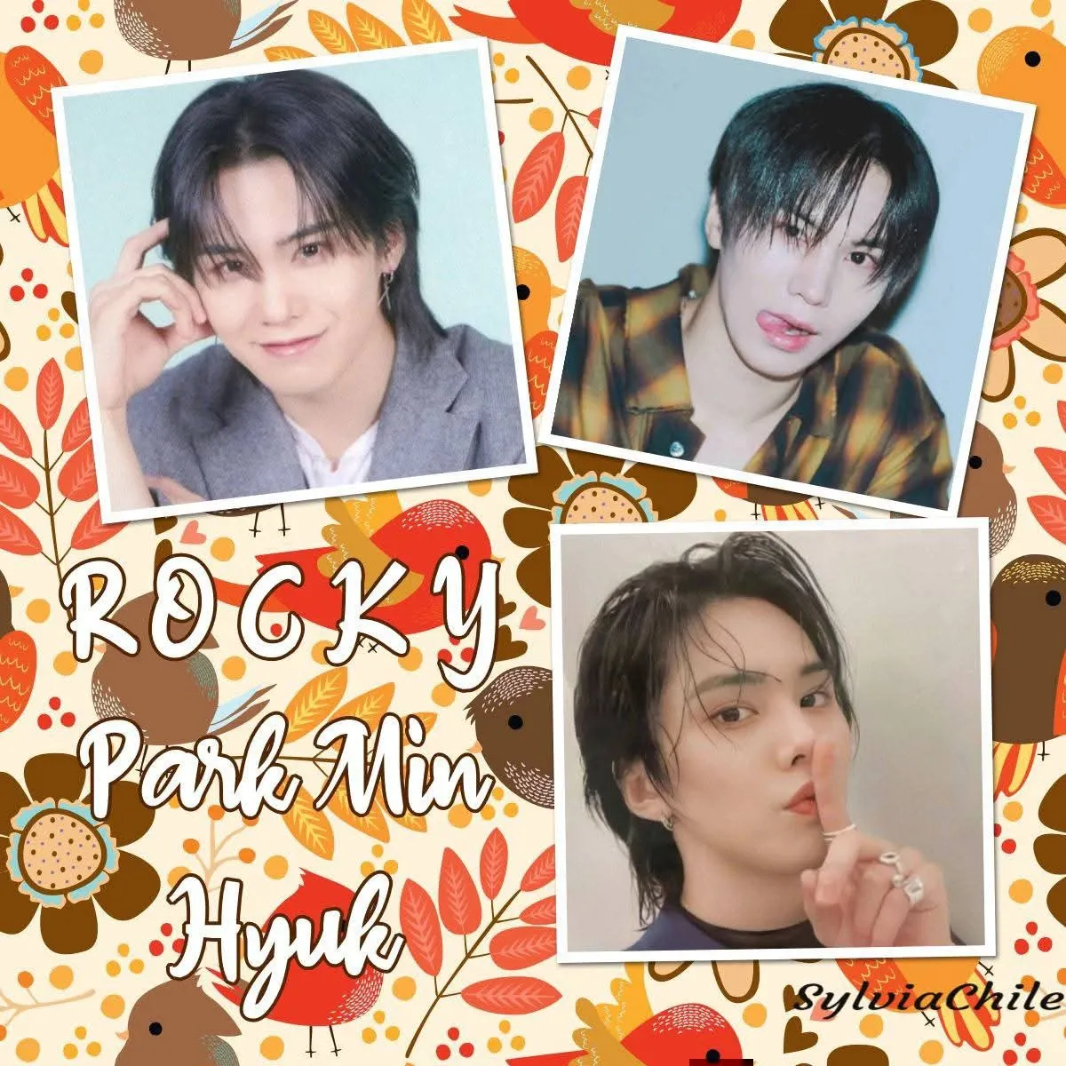 Latest photo of Rocky