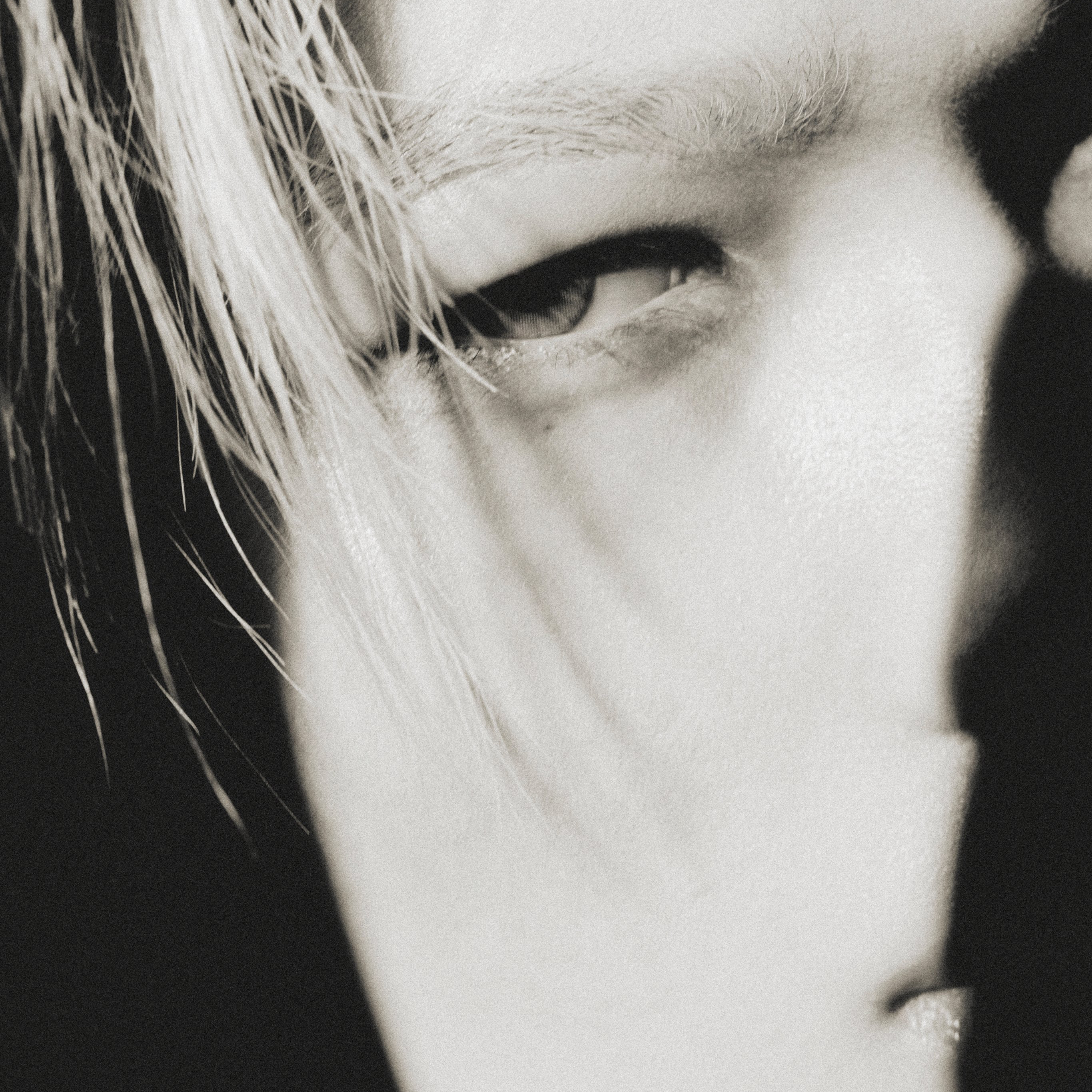 A moment captured by NI-KI (ENHYPEN)'s fan