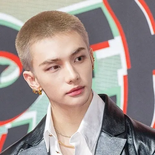 A moment captured by Hyunjin (Stray Kids)'s fan