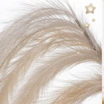 방탄소년단의 최신 사진