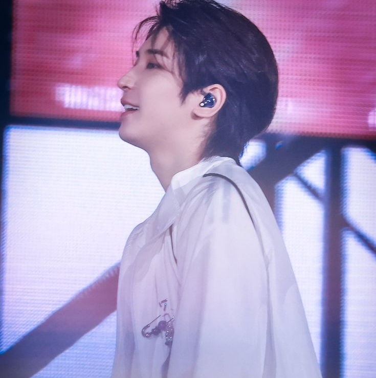 Recent activity shot of Wonwoo (SEVENTEEN)