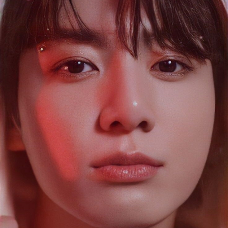 A moment captured by Jungkook (BTS)'s fan