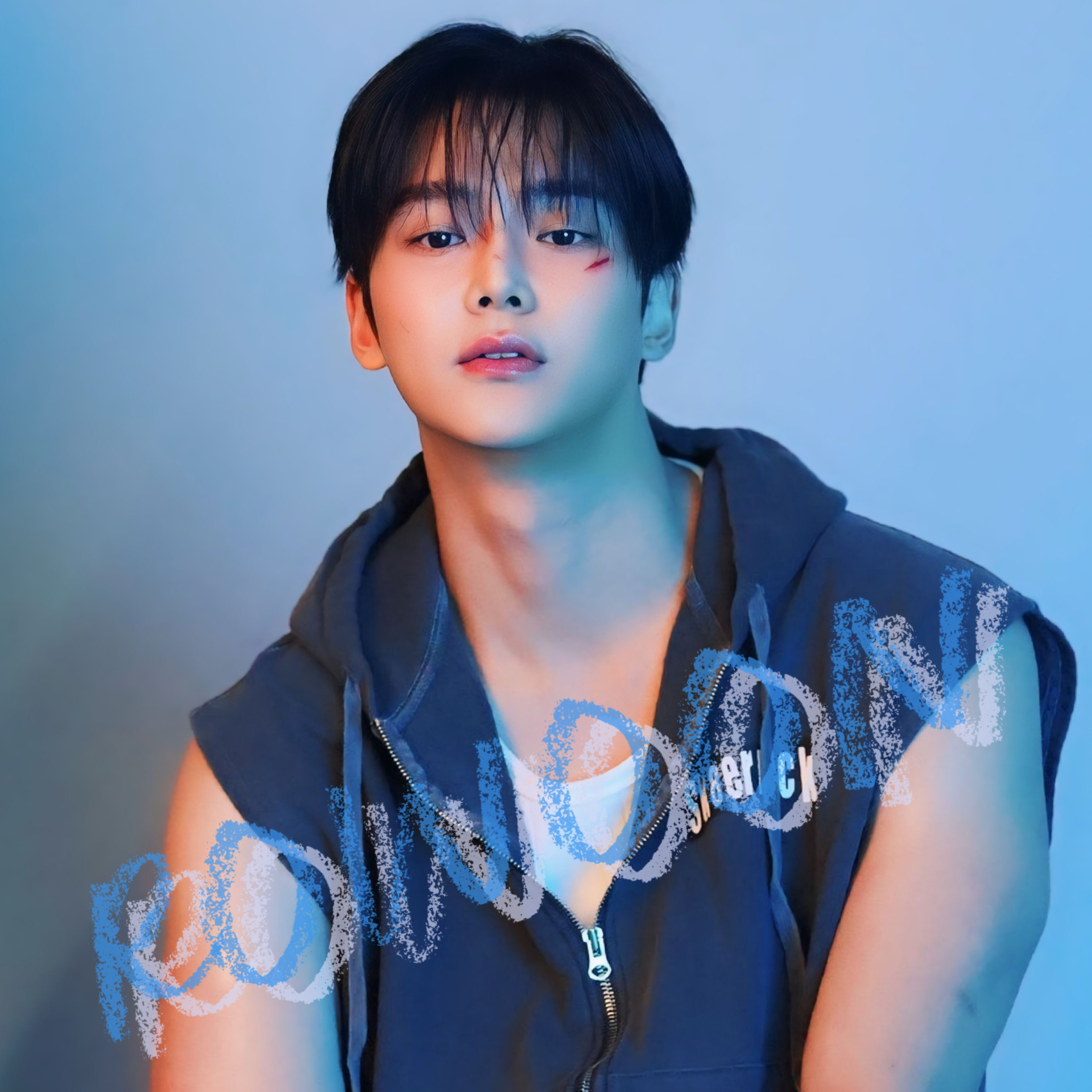 로운 팬이 찍은 순간