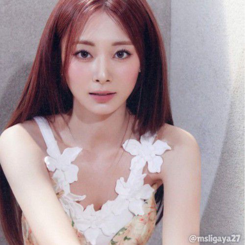 쯔위 (TWICE)의 최신 사진