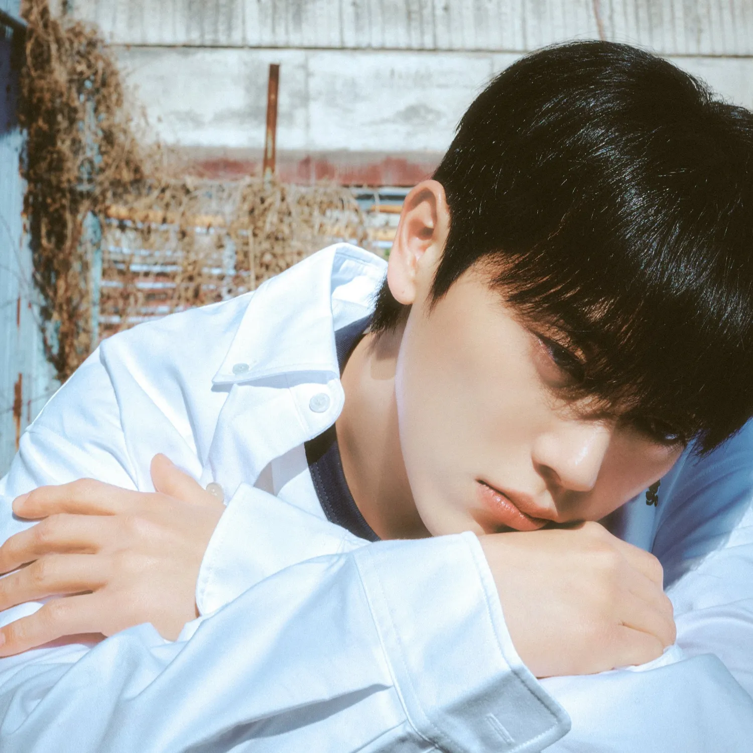 A moment captured by Minkyun (ONF)'s fan