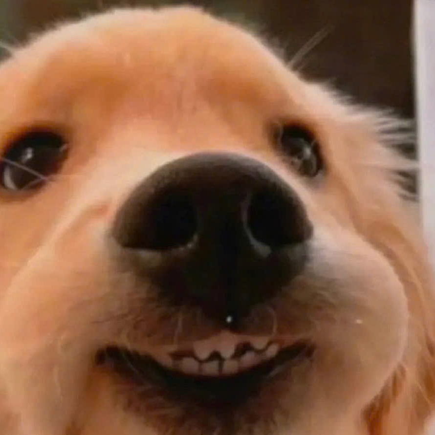 伯賢 (EXO)的最新活動照片