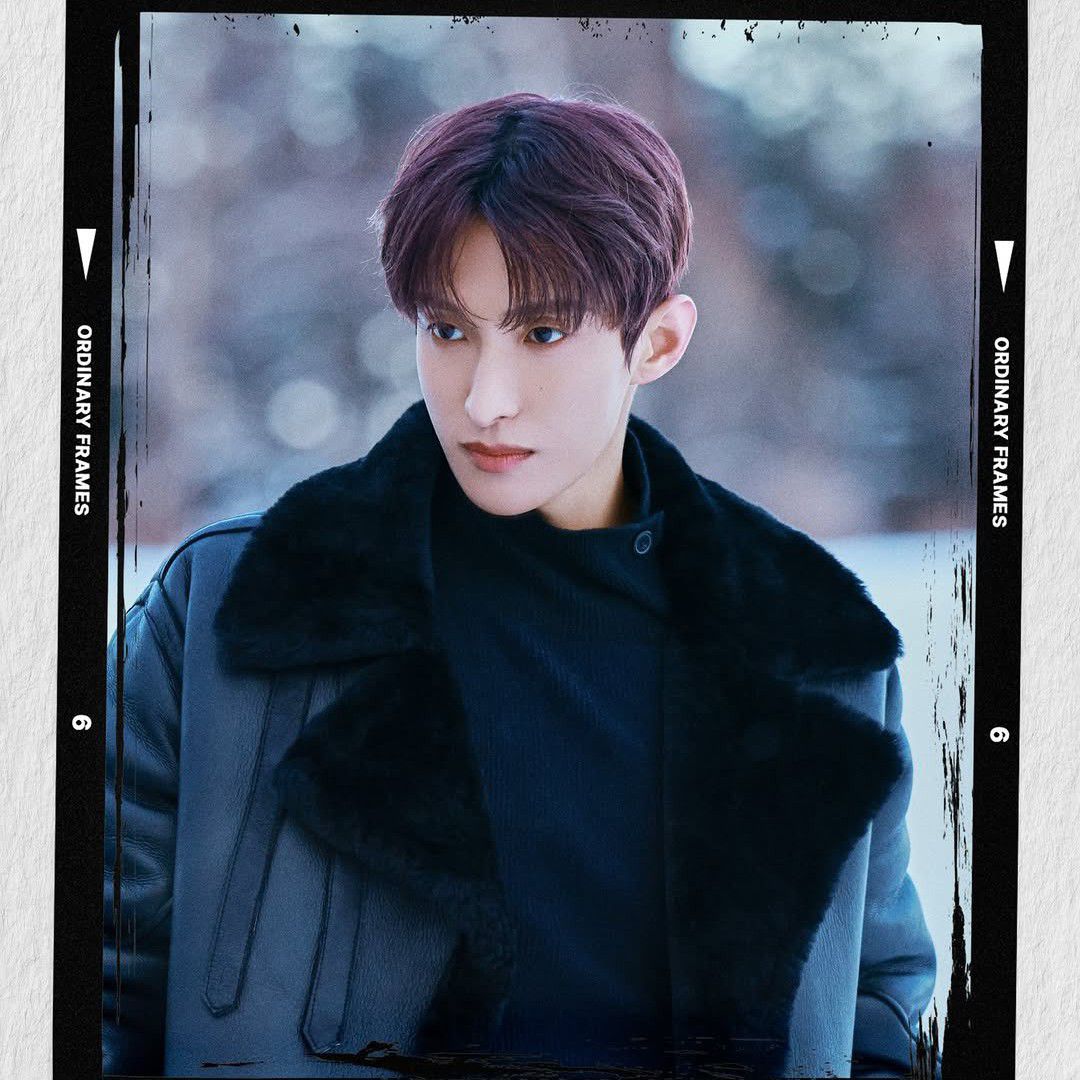 세븐틴의 최신 사진