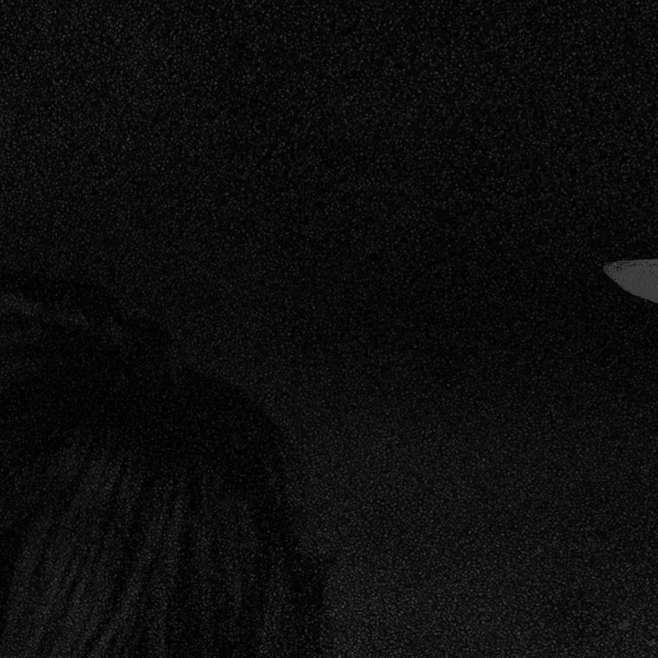 Recent activity shot of Billlie