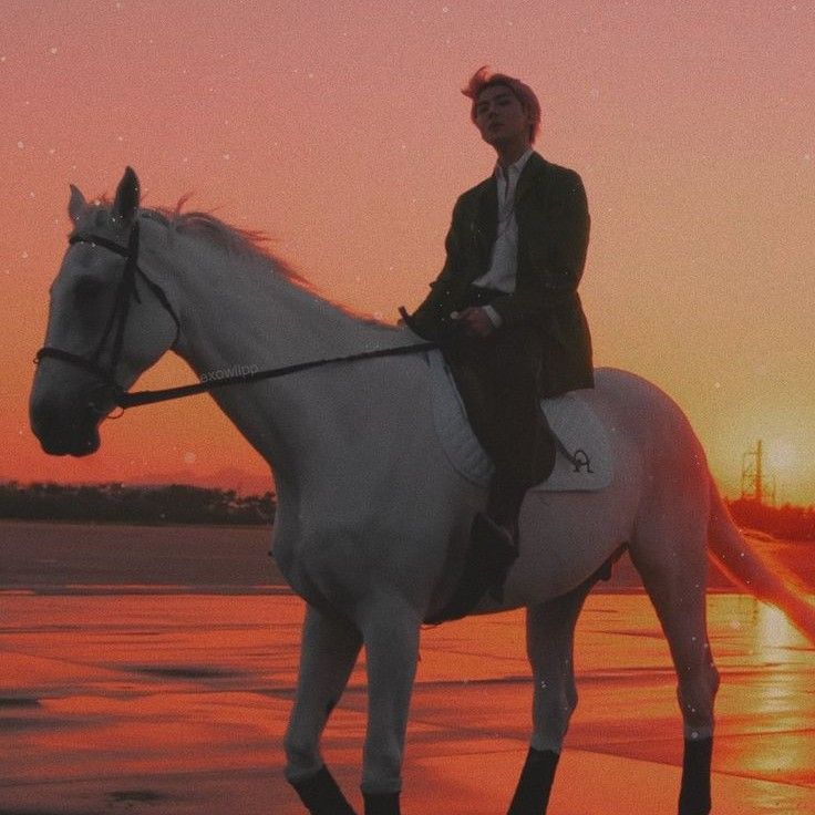 세훈 (EXO) 팬이 찍은 순간