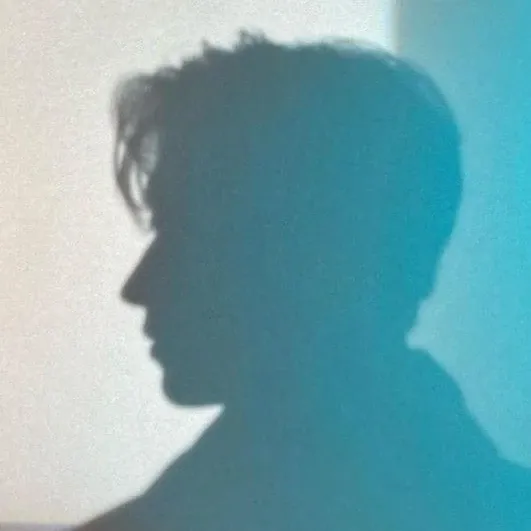 A moment captured by DK (SEVENTEEN)'s fan