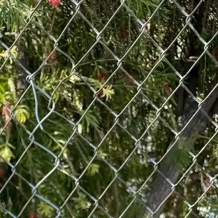 ドンファ (KickFlip)の最近の活動写真