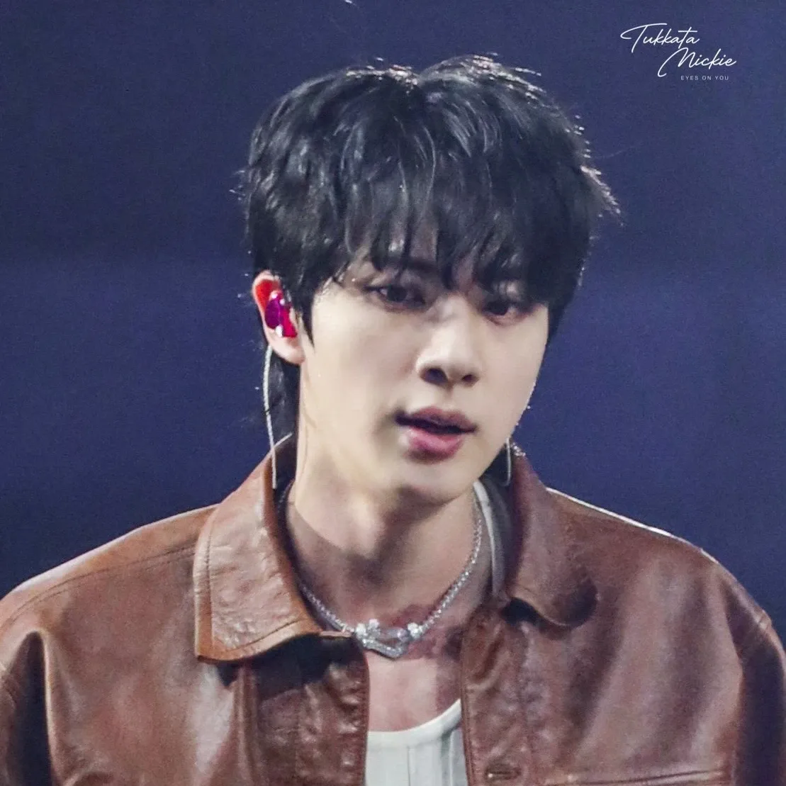 A moment captured by Jin (BTS)'s fan