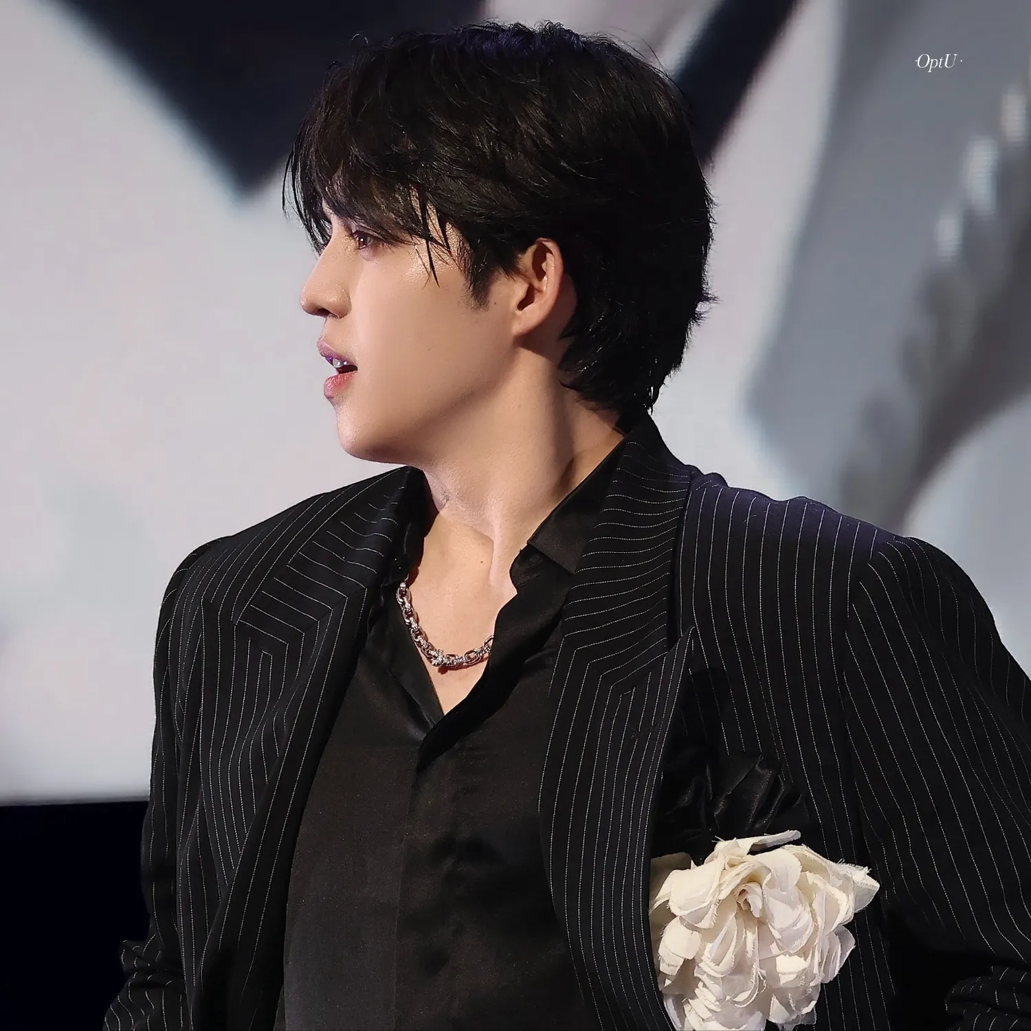 SEVENTEEN的最新照片