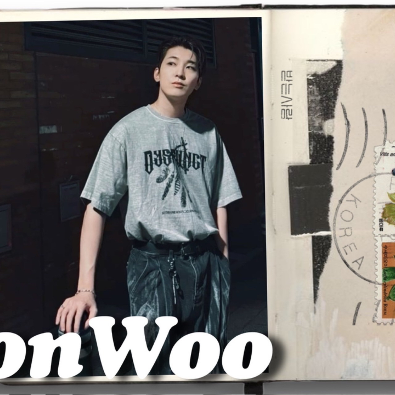 원우 (세븐틴) 팬이 찍은 순간