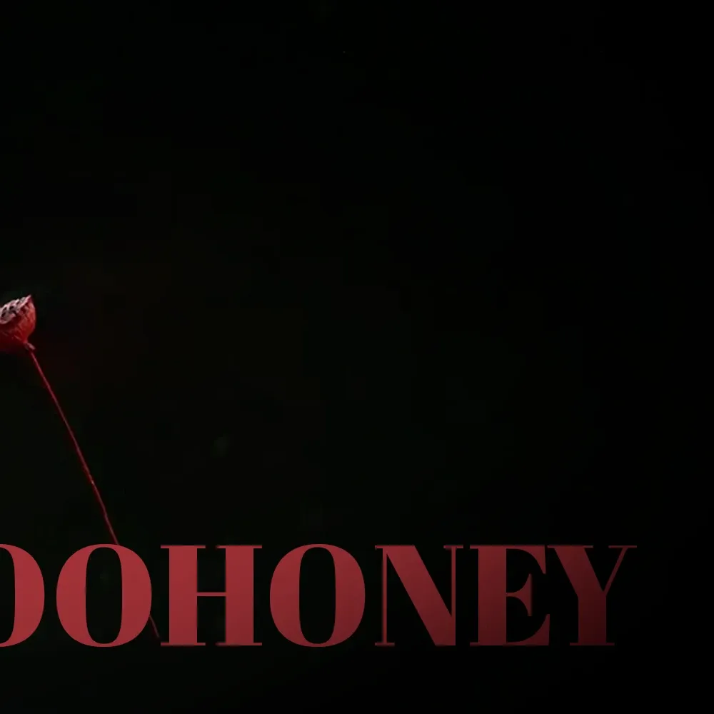 Latest photo of Joohoney (MONSTA X)