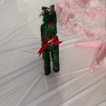 A moment captured by Michieda Shunsuke (Naniwa Danshi)'s fan