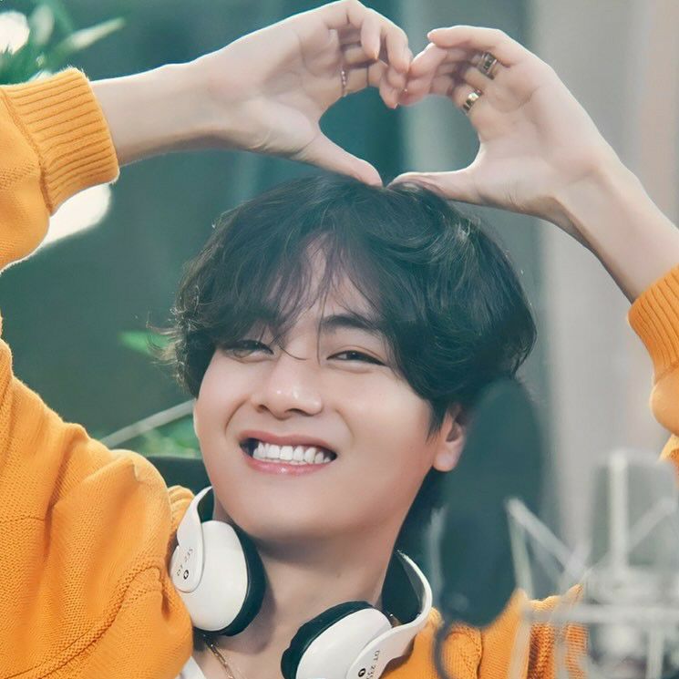 Behind-the-scenes cut of V (BTS)