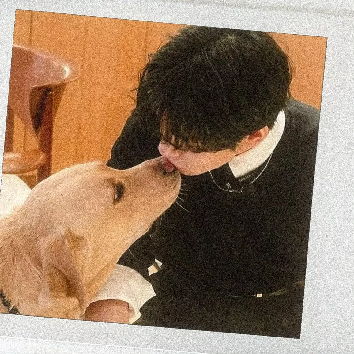 V (BTS)の最新写真