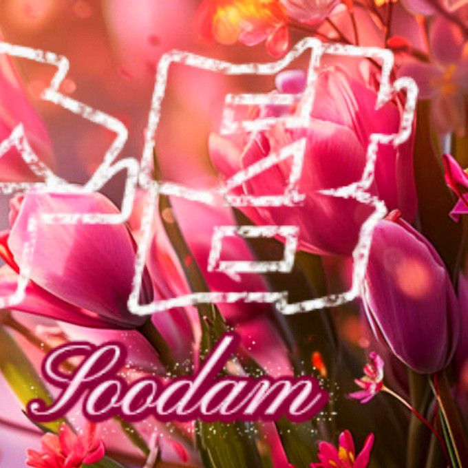 秀潭的最新活动照片