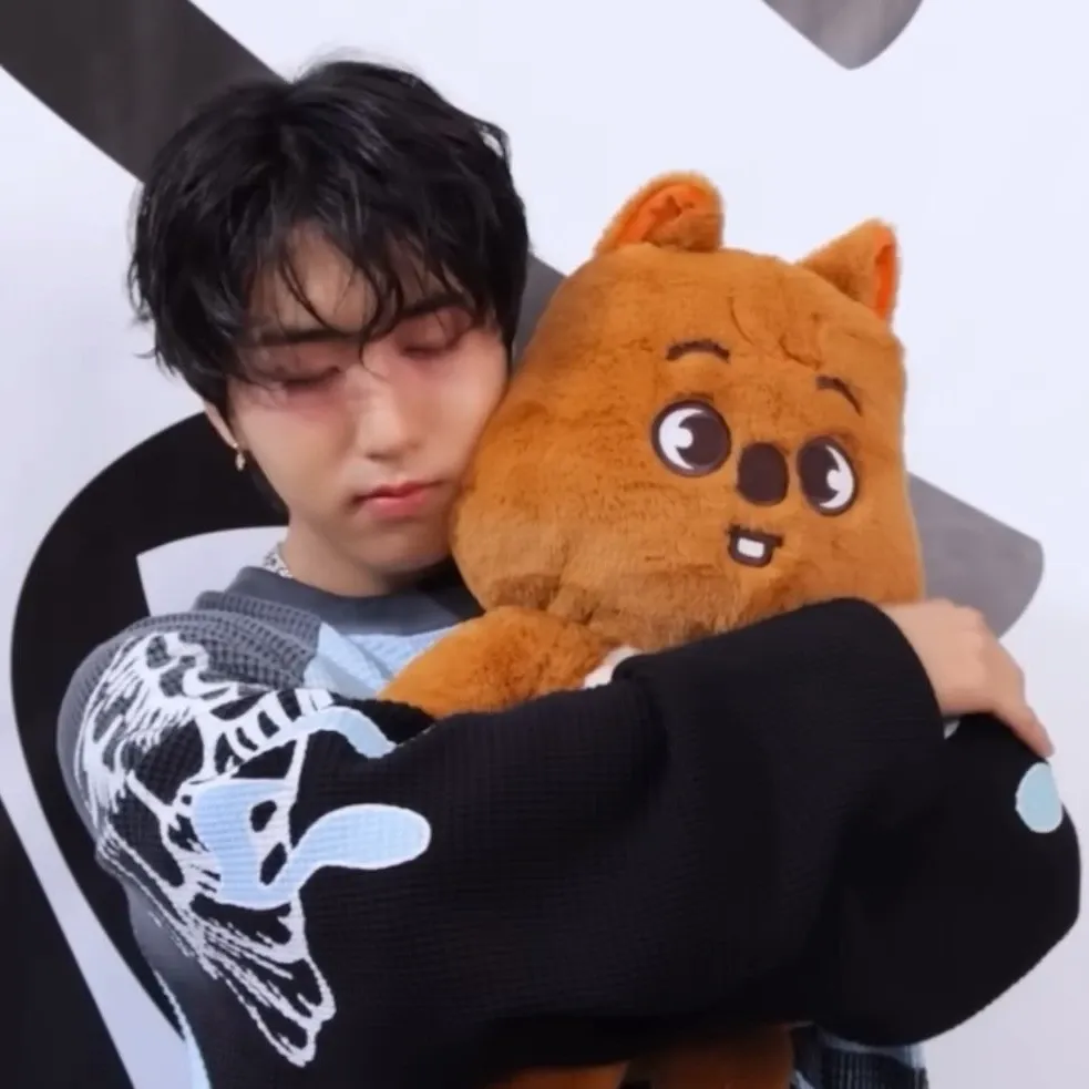 Recent activity shot of HAN (Stray Kids)