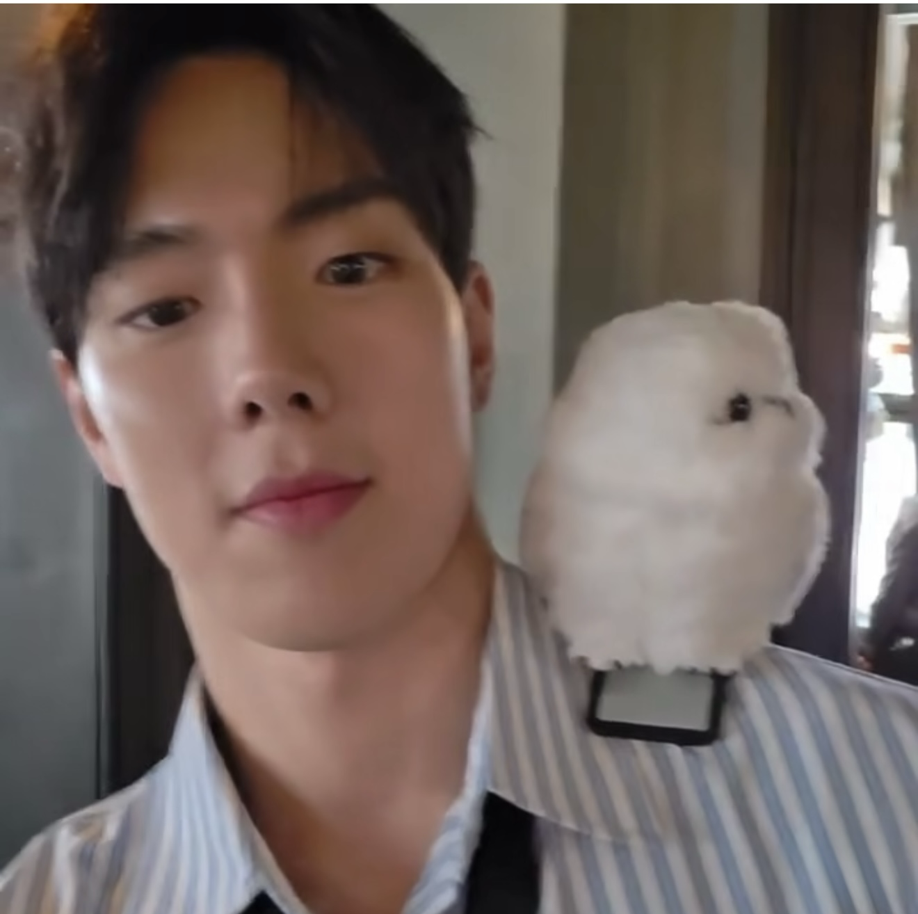 Latest photo of Shownu (MONSTA X)