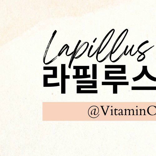 Lapillus粉絲拍下的瞬間