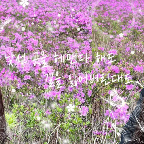 Latest photo of Seo Youngeun (Kep1er)