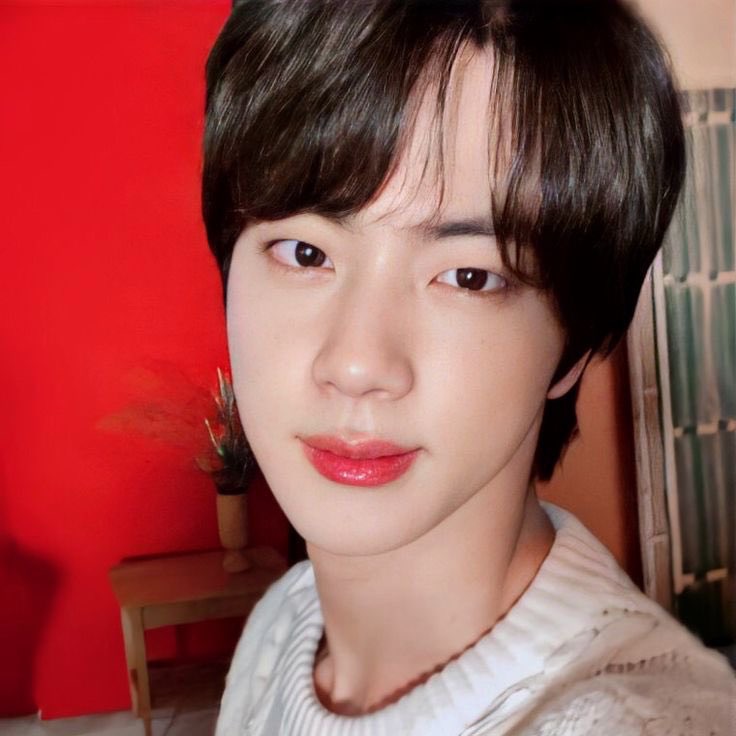 진 (방탄소년단) 팬이 찍은 순간