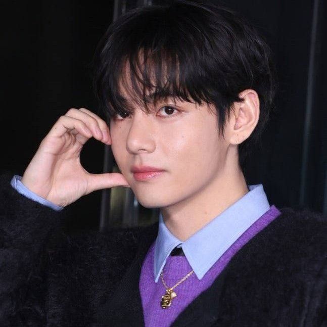 Behind-the-scenes cut of V (BTS)