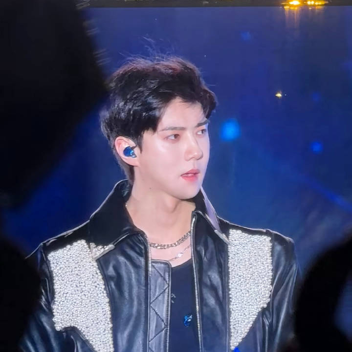 世勳 (EXO)粉絲拍下的瞬間