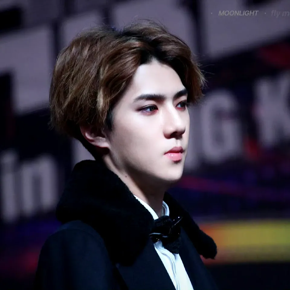 세훈 (EXO) 최근 활동샷