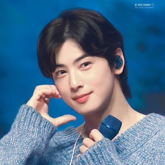 차은우 (아스트로) 팬이 찍은 순간