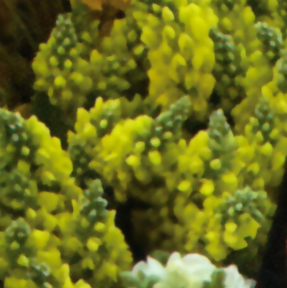 Behind-the-scenes cut of HyunJin (Loossemble)