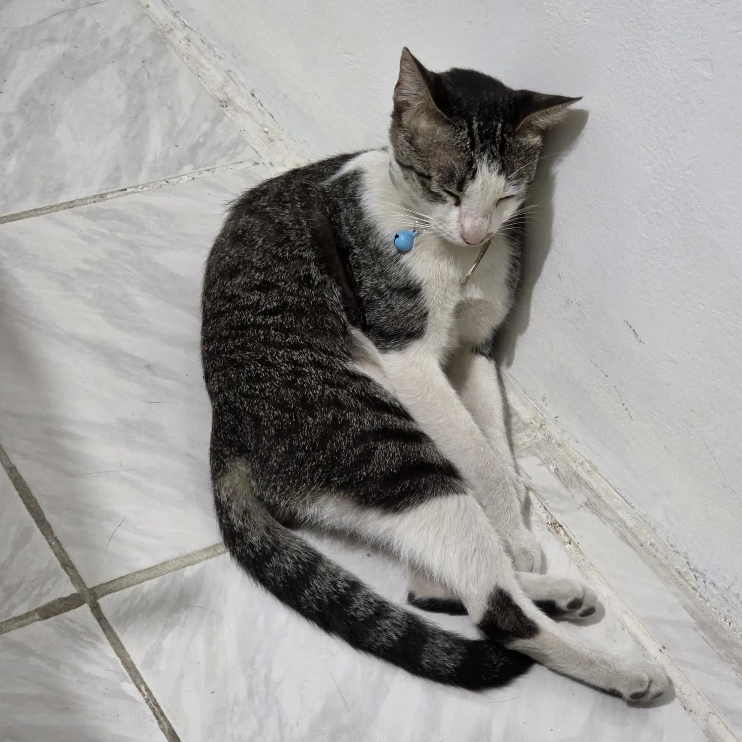 세븐틴의 최신 사진