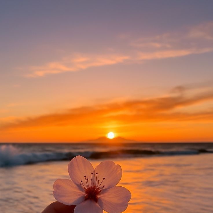 TWICE的最新活动照片