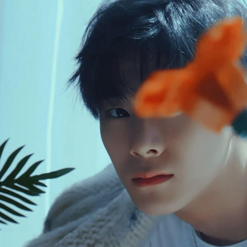 Latest photo of Moonbin (ASTRO)