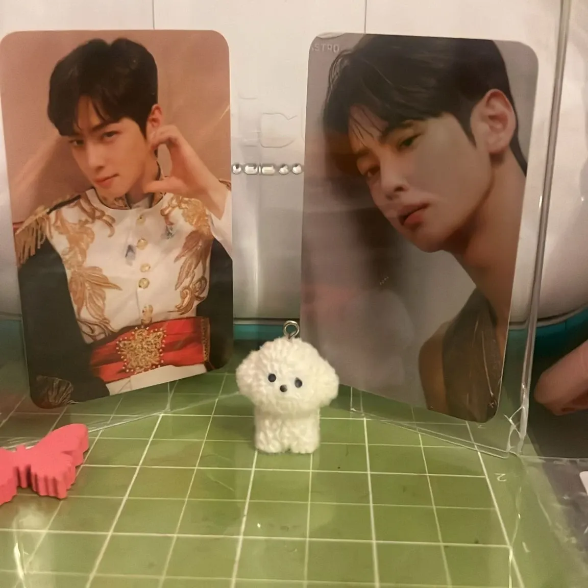아스트로 팬이 찍은 순간