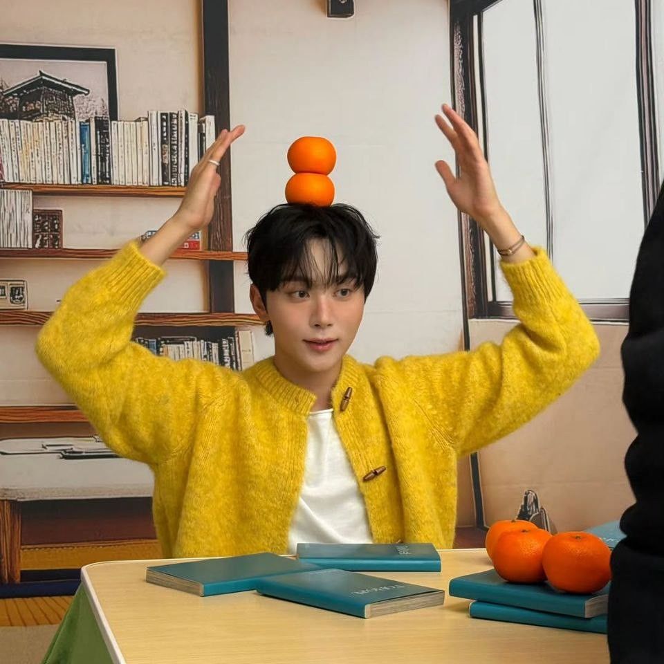 세븐틴 팬이 찍은 순간