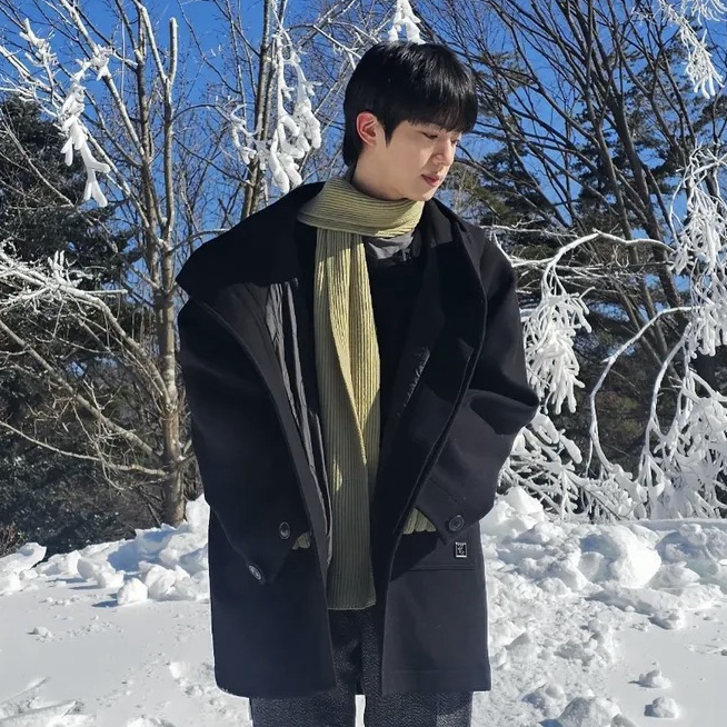 진 (방탄소년단) 팬이 찍은 순간