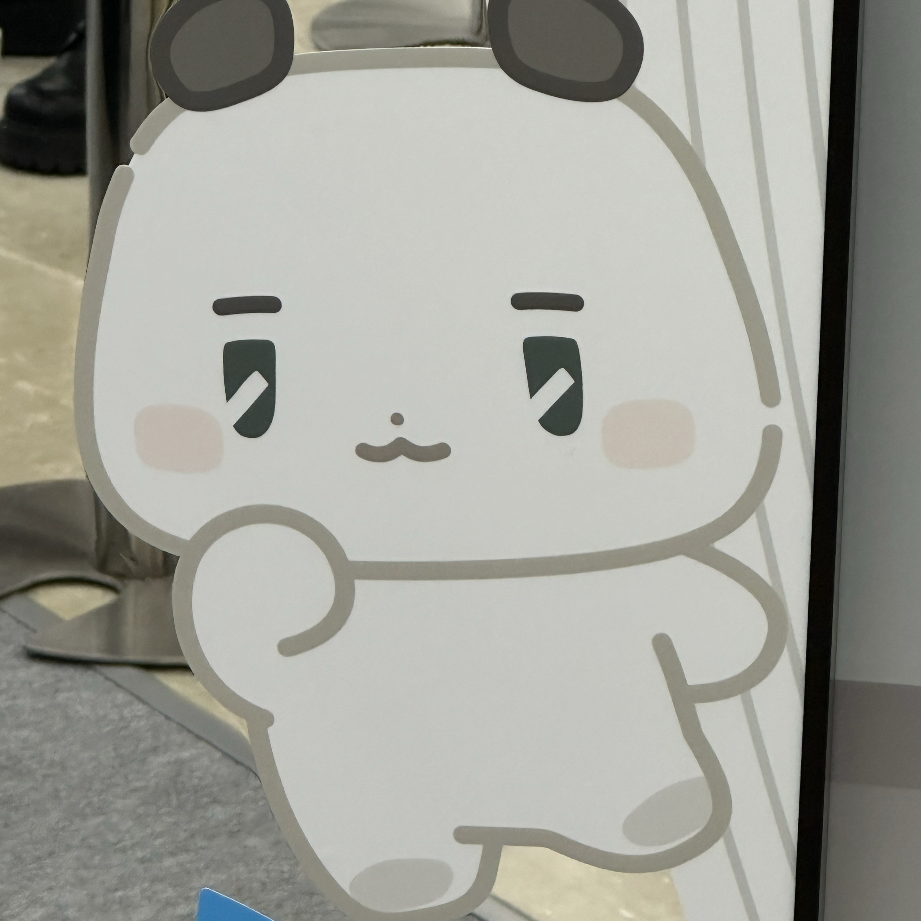 A moment captured by Hamin (PLAVE)'s fan